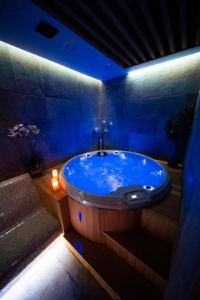 Отель Apartmani Banja SPA  Врнячка Баня